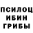 Галлюциногенные грибы Cubensis CraftingClone