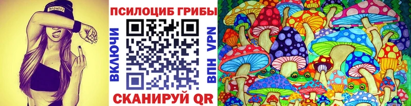 Галлюциногенные грибы Magic Shrooms  Павловск 
